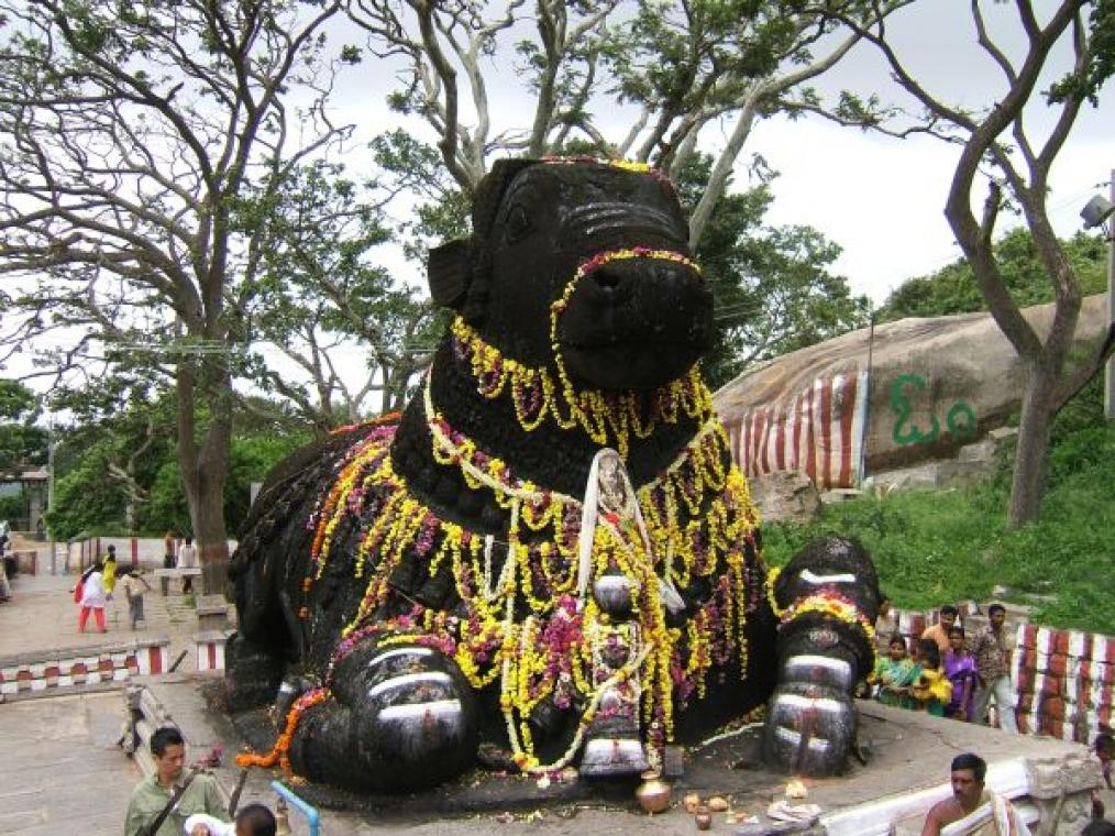 Mysore